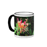 Autumn Honeysuckle ~ mug