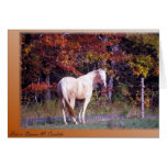 Autumn Horse II Cards
