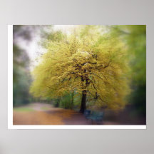 autumn hues posters