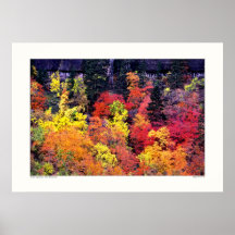Autumn Impressions - Zion National Park, Utah Poster