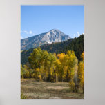 Autumn in Colorado Posters