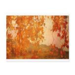 Autumn in Fairy Land postcards