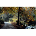Autumn in Luxulyan Valley at the Cornish Riviera Acrylic Cut Outs