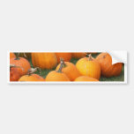 Autumn_In_Maine_8 Bumper Stickers