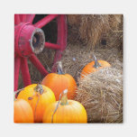 Autumn_In_Maine_9 Fridge Magnets