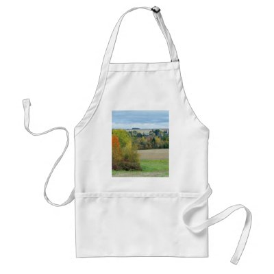 Autumn In Maine Aprons by nmpics