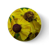 Autumn In Maine Button