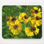 Autumn In Maine Mouse Mats
