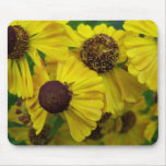 Autumn In Maine Mouse Mats
