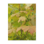 Autumn In Maine postcards