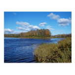 Autumn In Maine Postcard