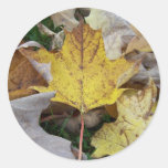 Autumn In Maine Stickers