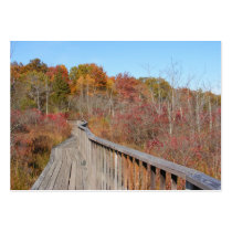 Autumn in New England 17 ~ ATC