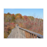 Autumn in New England 17 ~ postcard