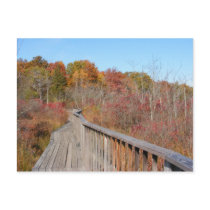 Autumn in New England 17 ~ postcard