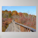 Autumn in New England 17 ~ print