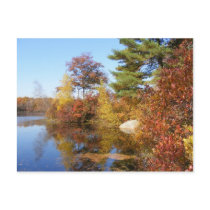 Autumn in New England 1 ~ postcard