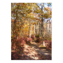 Autumn in New England 21 ~ ATC