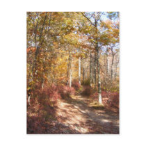 Autumn in New England 21 ~ postcard