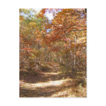 Autumn in New England 25 ~ postcard
