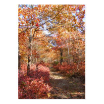 Autumn in New England 27 ~ ATC