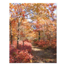 Autumn in New England 27 ~ Photo