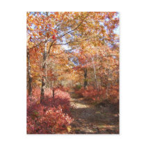 Autumn in New England 27 ~ postcard