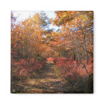 Autumn in New England 32 ~ magnet