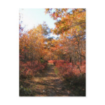 Autumn in New England 32 ~ postcard