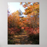 Autumn in New England 32 ~ print
