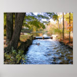Autumn in New England 47 ~ print