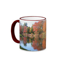 Autumn in New England 54 ~ mug