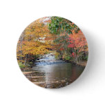 Autumn in New England buttons