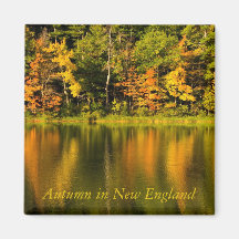 Autumn in New England   Magnet