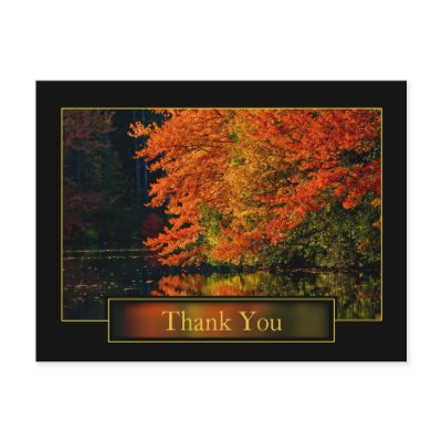 Autumn In New England Thank You Post Cards by TDSwhite