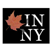 Autumn in New York Postcard