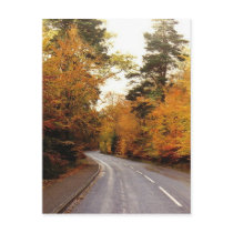 Autumn in Strathspey Postcard