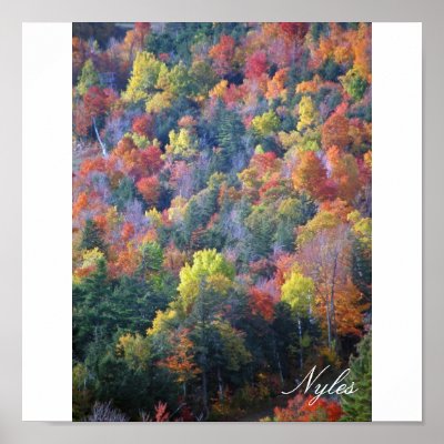 Autumn in the Adirondacks Poster by nhmgifts