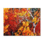 Autumn in the Forest - Painting Art postcards