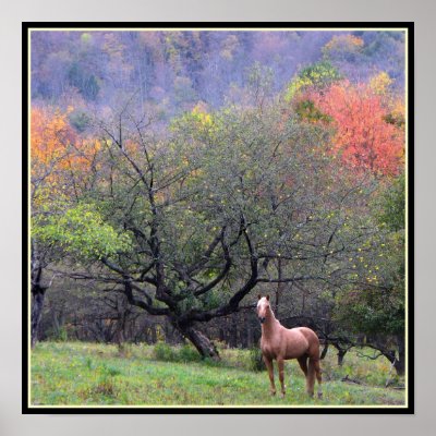 Autumn in the Horse's Orchard by Bebops