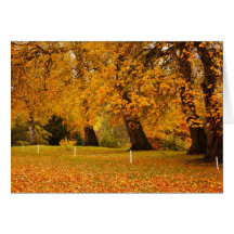 Autumn in the park card