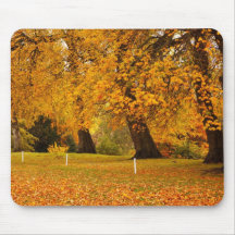 Autumn in the park mouse pads