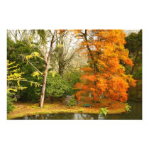 Autumn in the park