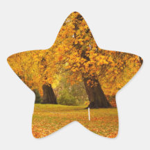 Autumn in the park star sticker