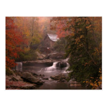 Autumn in the Woods Postcard
