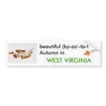 Autumn in West Virginia Bumper Sticker bumper stickers
