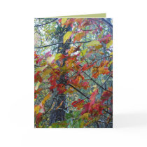 Autumn Incarnate
