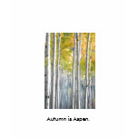 Autumn is Aspen tee shirt