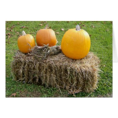 Autumn Is Most Beautiful Season Cards by allthingsnatural