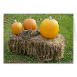 Autumn Is Most Beautiful Season Cards